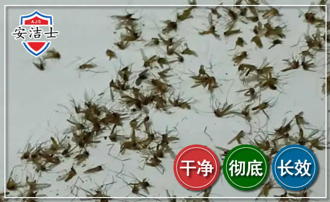 海棠区苍蝇防治-灭蝇