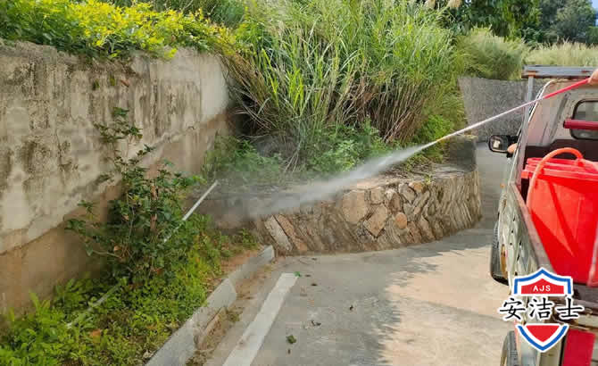 海棠区道路堤坝白蚁防治