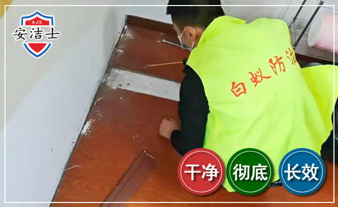 海棠区除四害现场