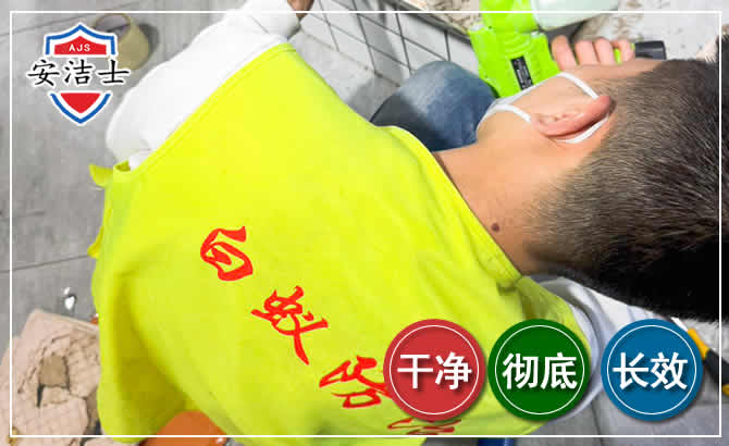 海棠区白蚁根治现场